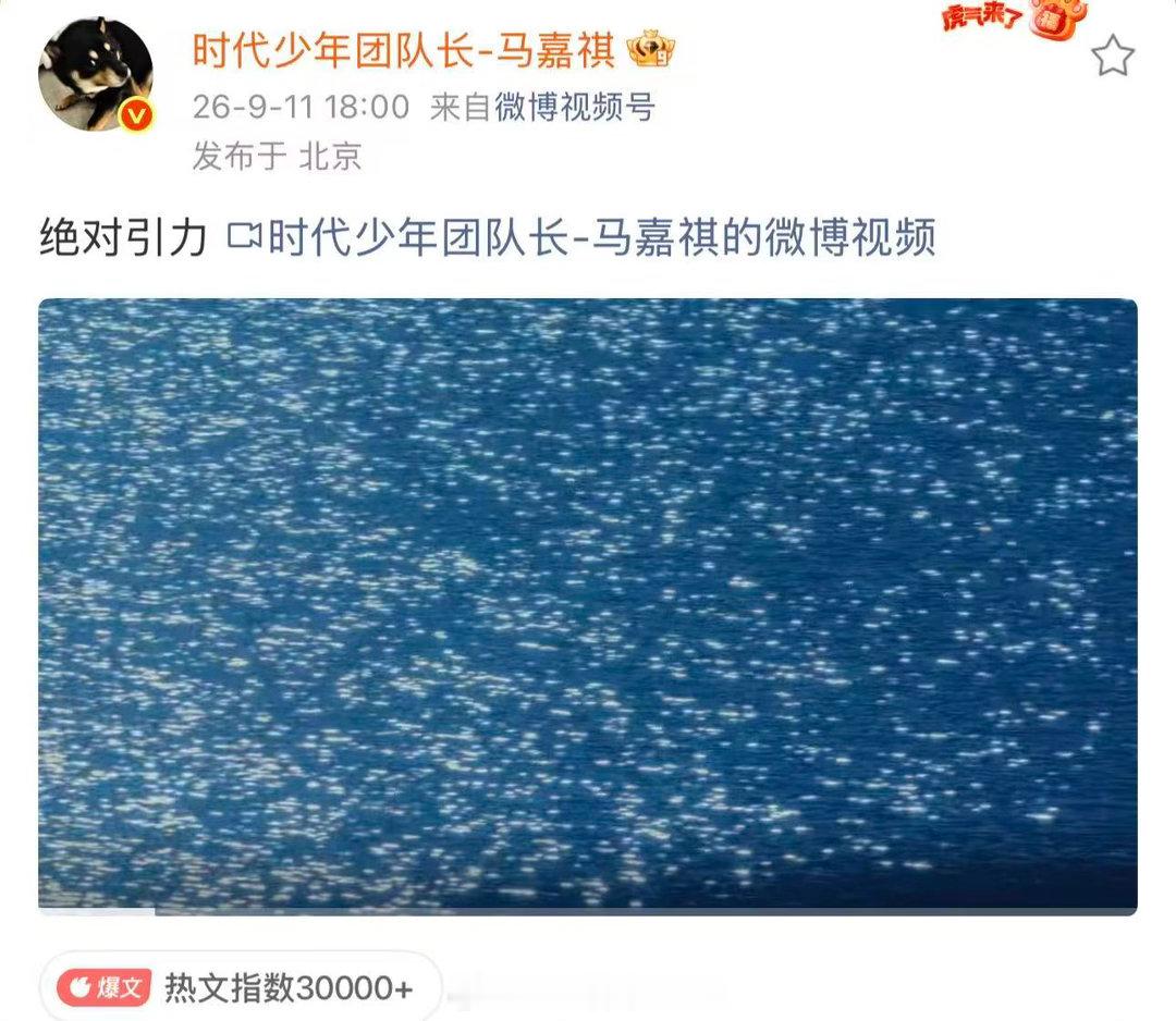 世界纷纷扰扰马嘉祺专注EP宣发马嘉祺的粉丝现状做此男的粉丝好幸福吧！世界纷纷扰扰