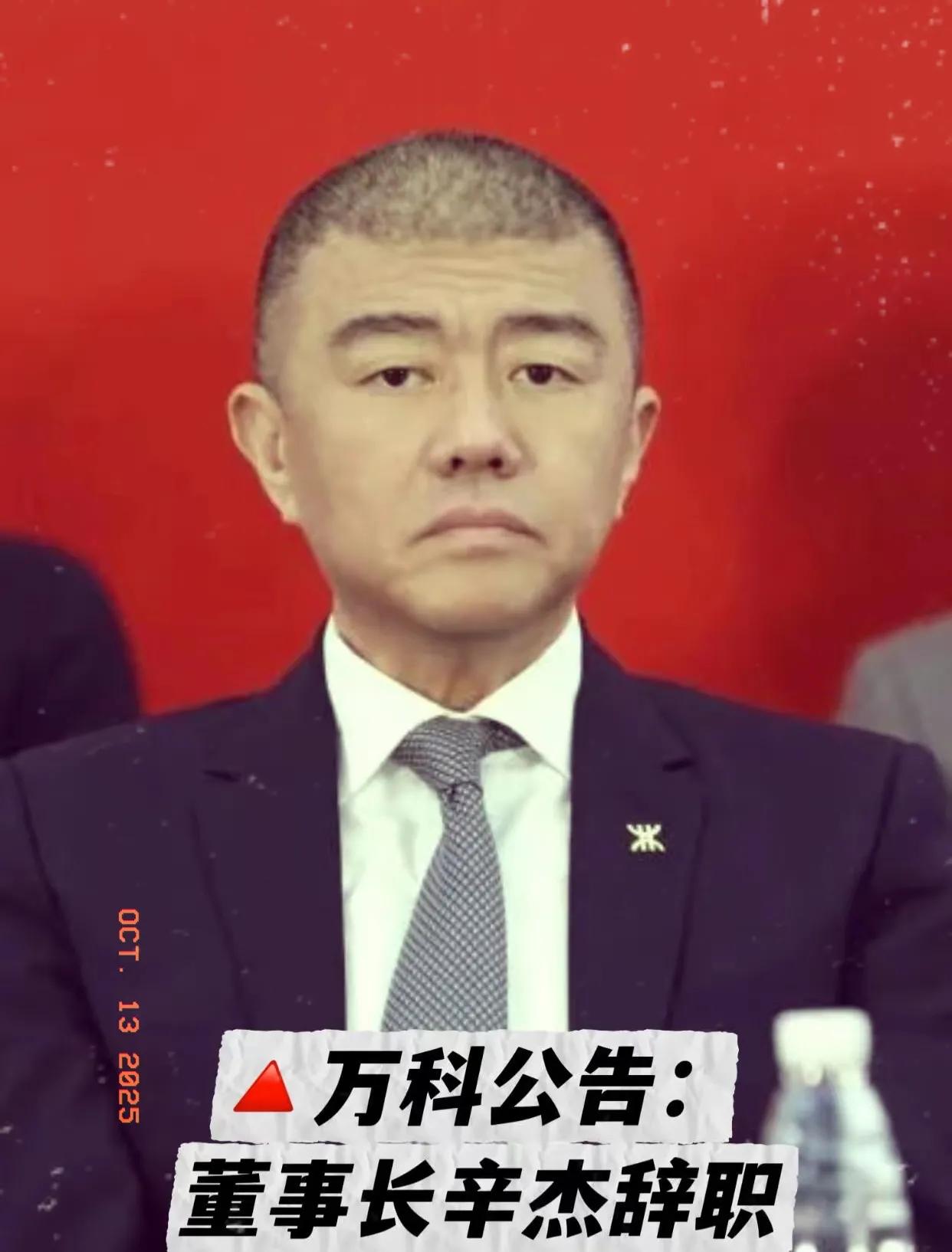 万万没想到，万科董事长的椅子只坐了9个月

2025年10月13日，万科一纸公告