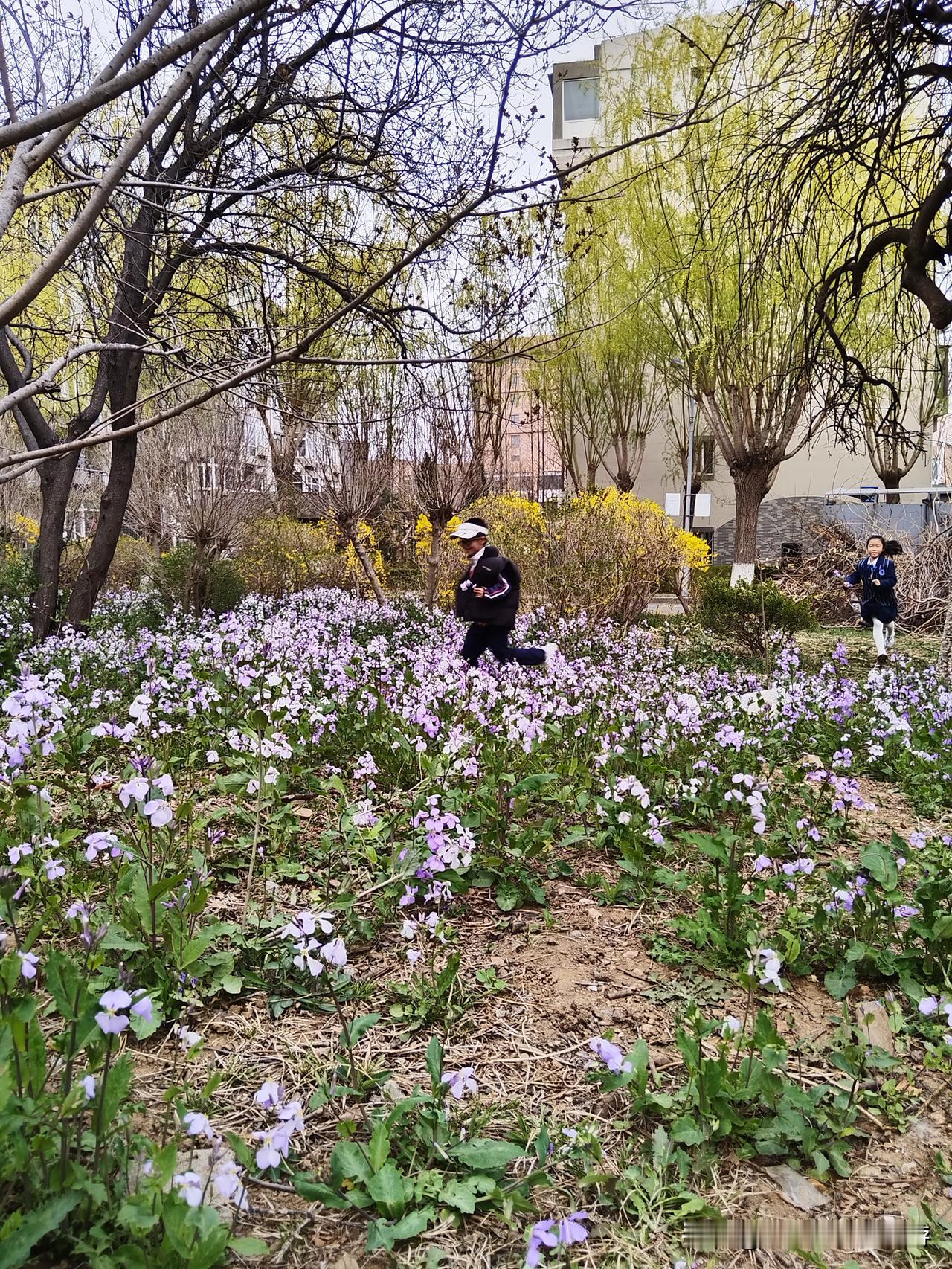 在春天，撒欢的玩