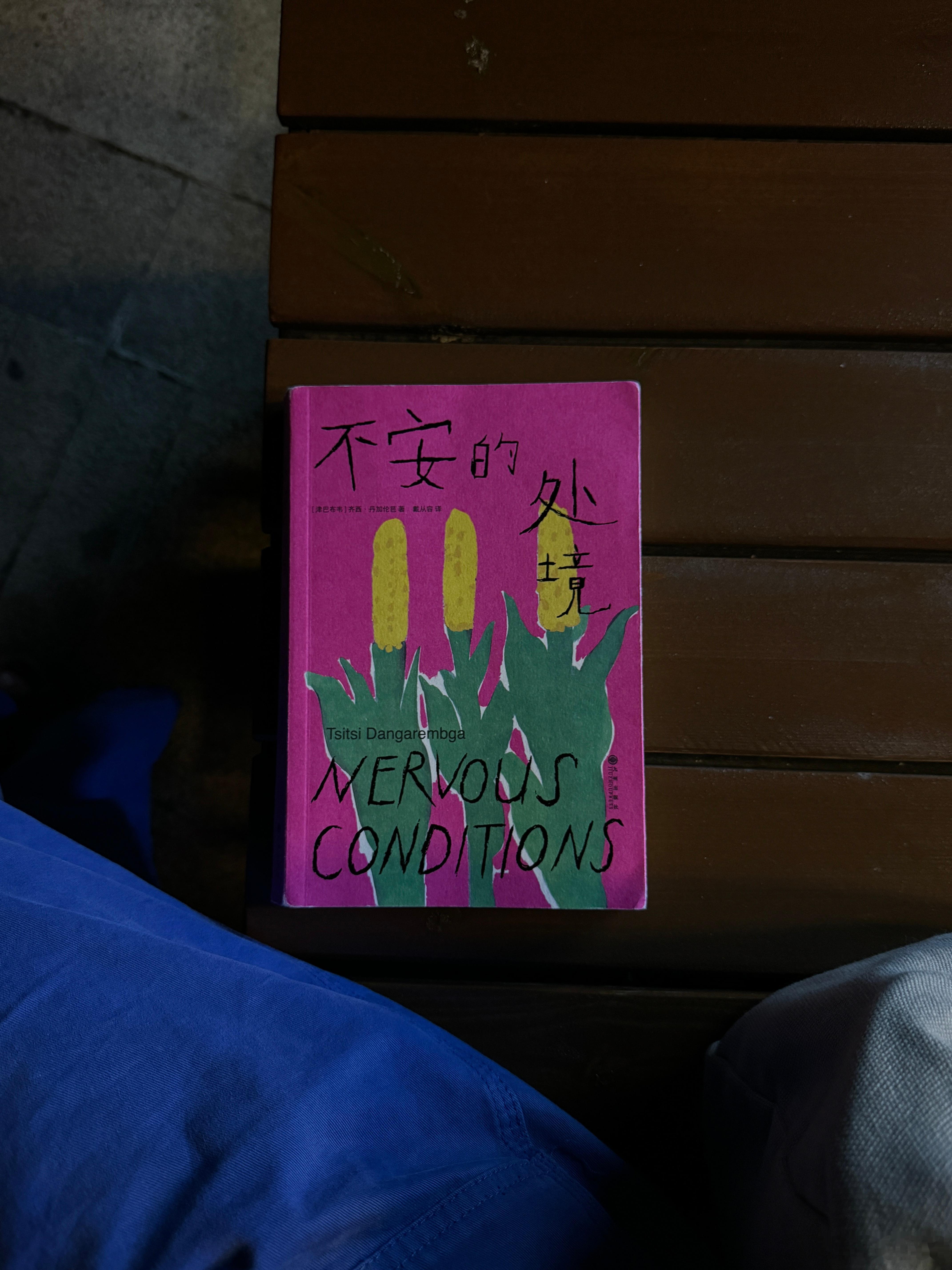 每次坐在咖啡店都要拖半天才打开，然后一点点啃，其实是因为太喜欢书写的方式和文字了