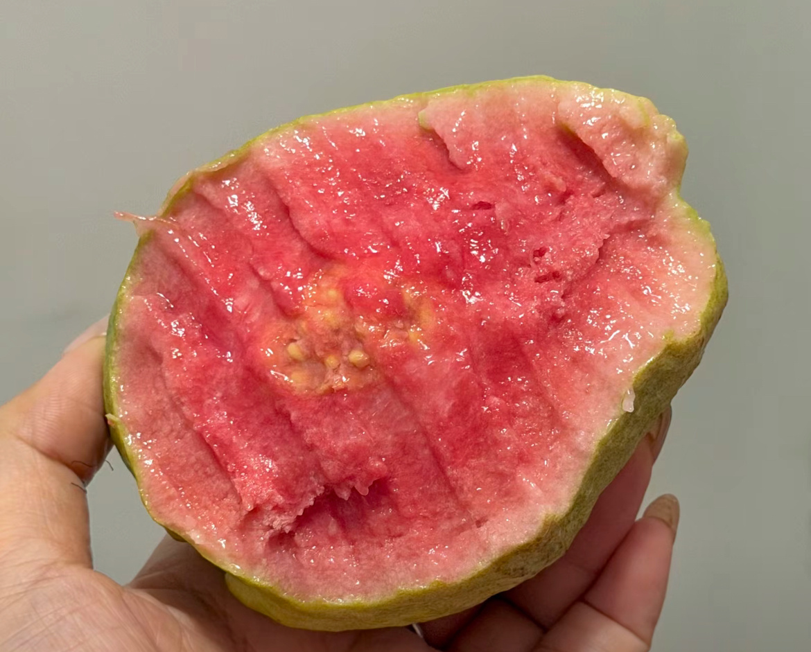 芭乐 早知道烂地里了在吃到芭乐之前，我一直以为它是又软又甜还多汁的绝世好水果