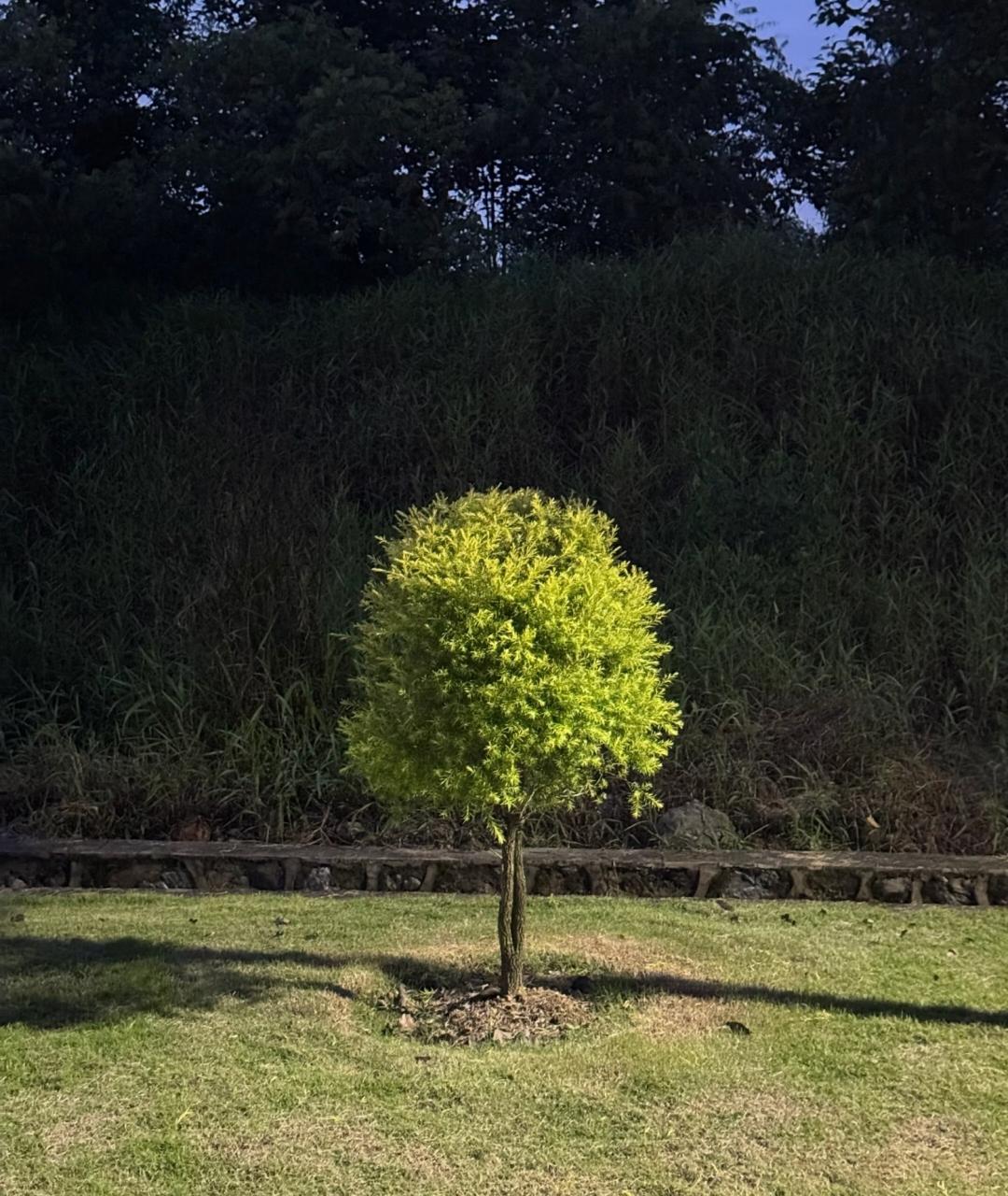 能刷到这些文字的父母，孩子都不简单，定时人中龙凤!

其实世上所有的相遇，都有它