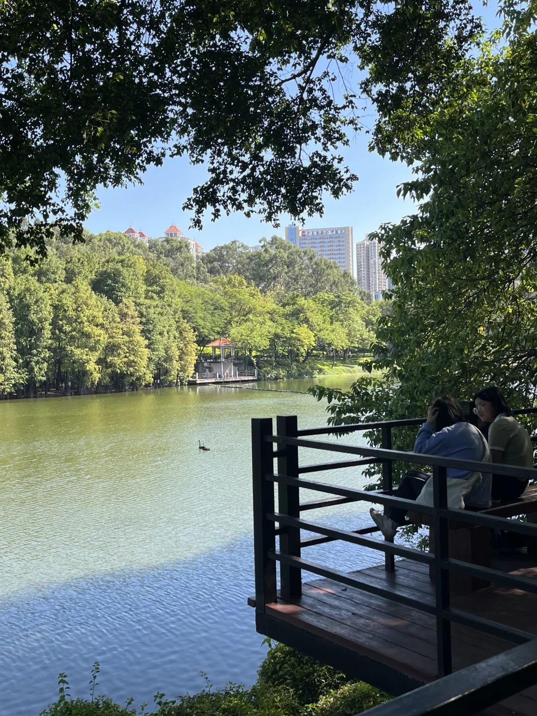 真心建议大家保持一定程度的外出欲🚶‍♀️‍➡️