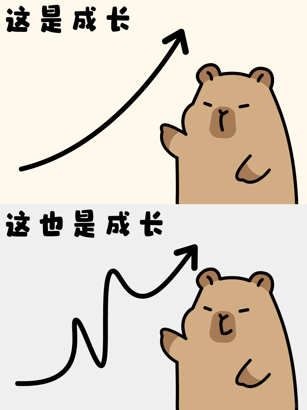 别担心，你的未来会很好-卡皮巴拉✨