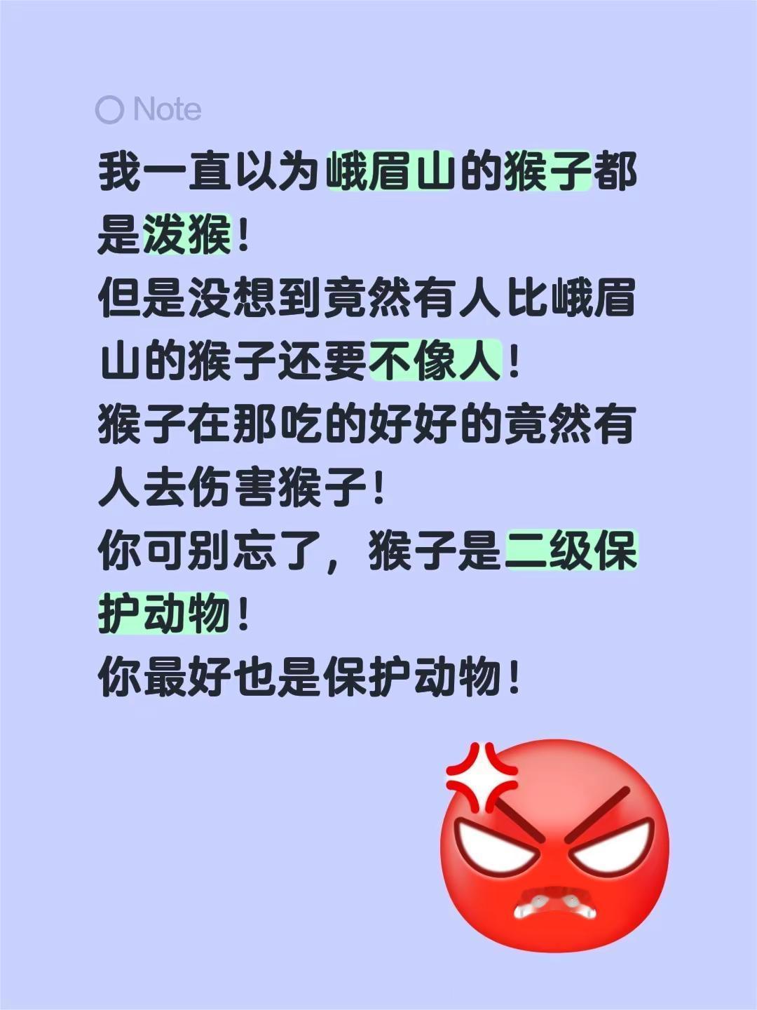 我一直以为峨眉山的猴子都是泼猴！但是没想到竟然有人比峨眉山的猴子还要不像人！猴子