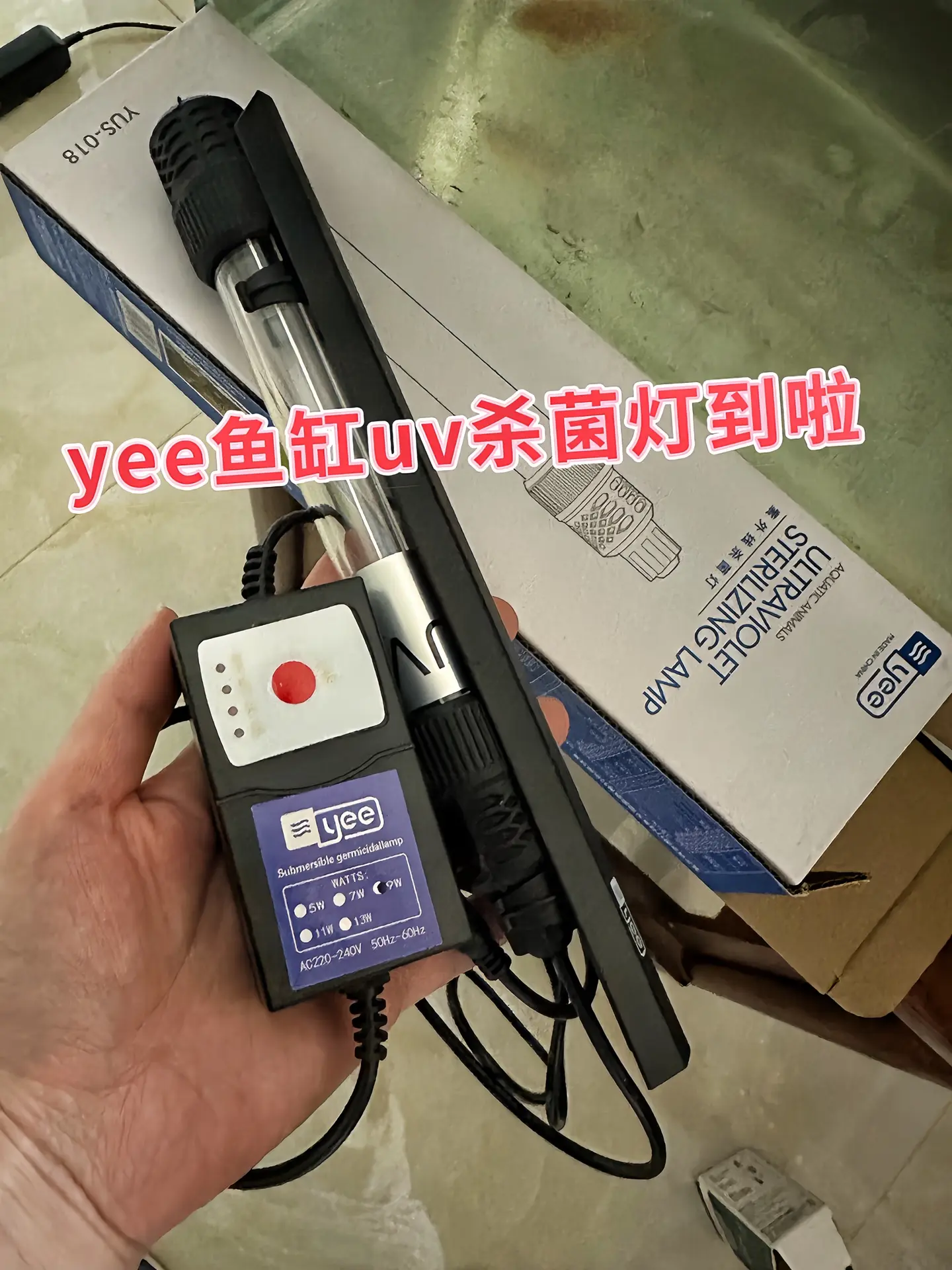 养鱼久了，难免碰上糟心事：藻类疯长，鱼缸秒变“绿沼泽”；水质浑浊，鱼儿...