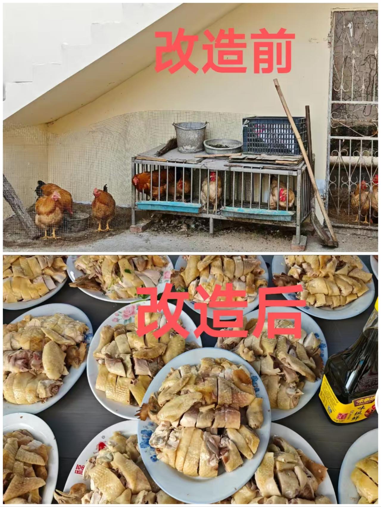 快过年了，也辛苦一段时间了，也该改造一下了。相信在未来十天，应该会好好“改造”它