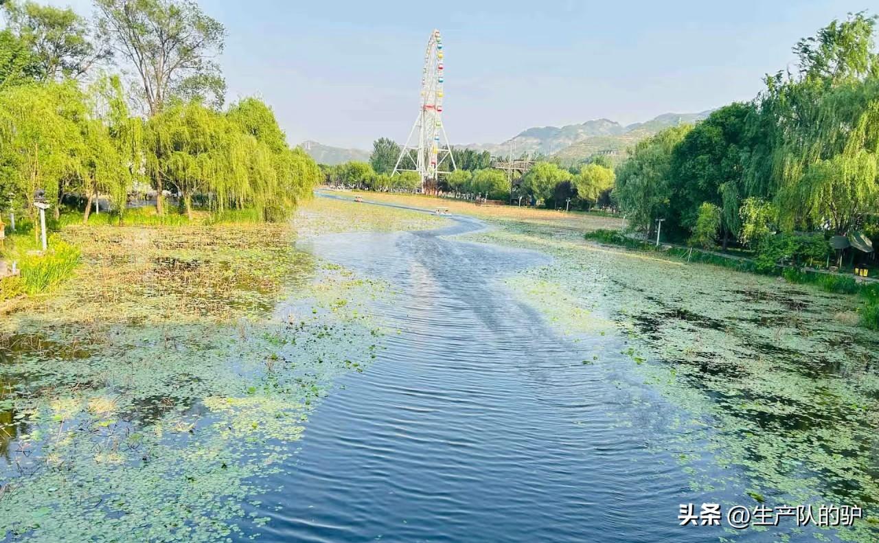 商洛：走不出的大山

商洛，这名字本身就如诗如画。“商山名利路，夜亦有人行”，山
