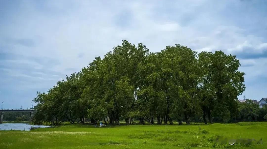 老人们常说:“人在做，天在看”。举头三尺有神明，人的一言一行瞒得过别人，却瞒不过