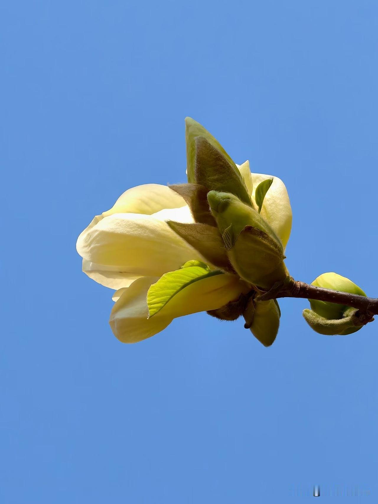 任何人的底气，都源于你的经济实力，这句话以前我不信，现在我坚信，利益到位，陌生人