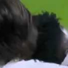 北京时间12月4日，皇马做客对阵毕尔巴鄂竞技，此前他们已经连续3个西甲客场不胜，