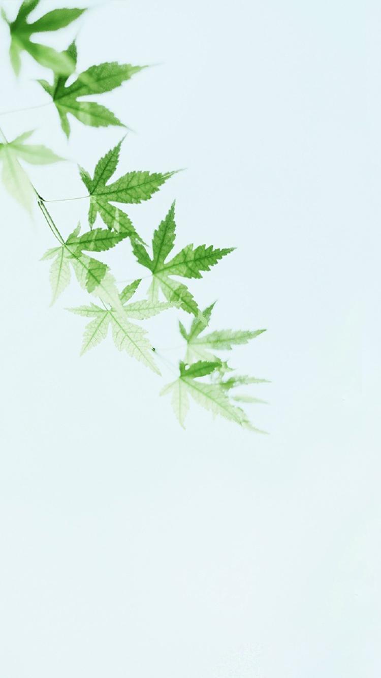 三餐暖脾胃，万事顺心意；脚步稳一点，惊喜在路上。不慌不忙过日常， 该努力时尽全力