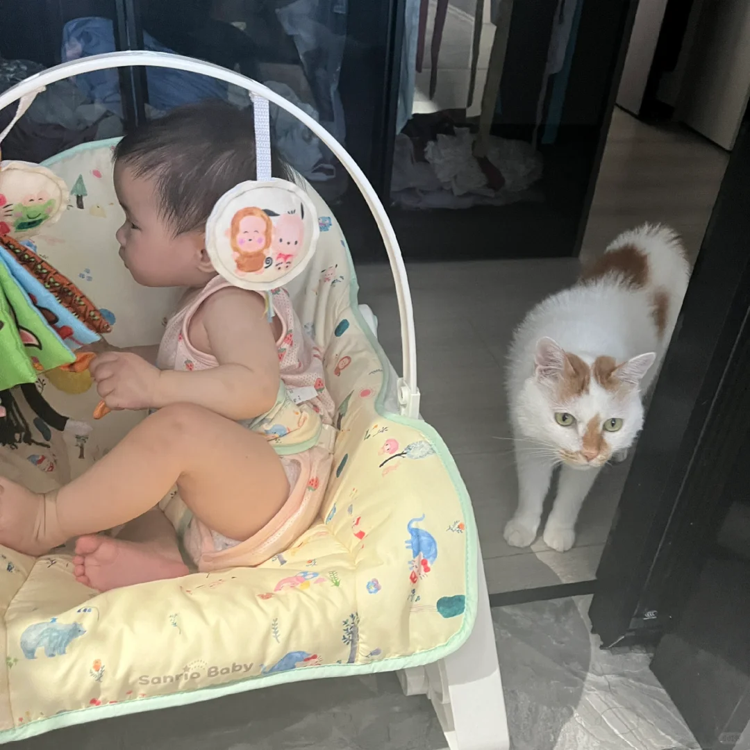 我的厕所搭子们