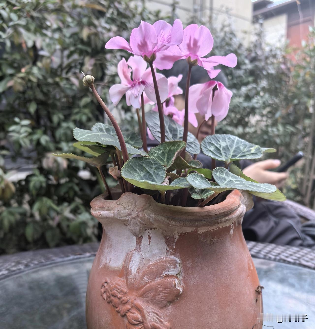 勤勤恳恳种菜
开开心心养花