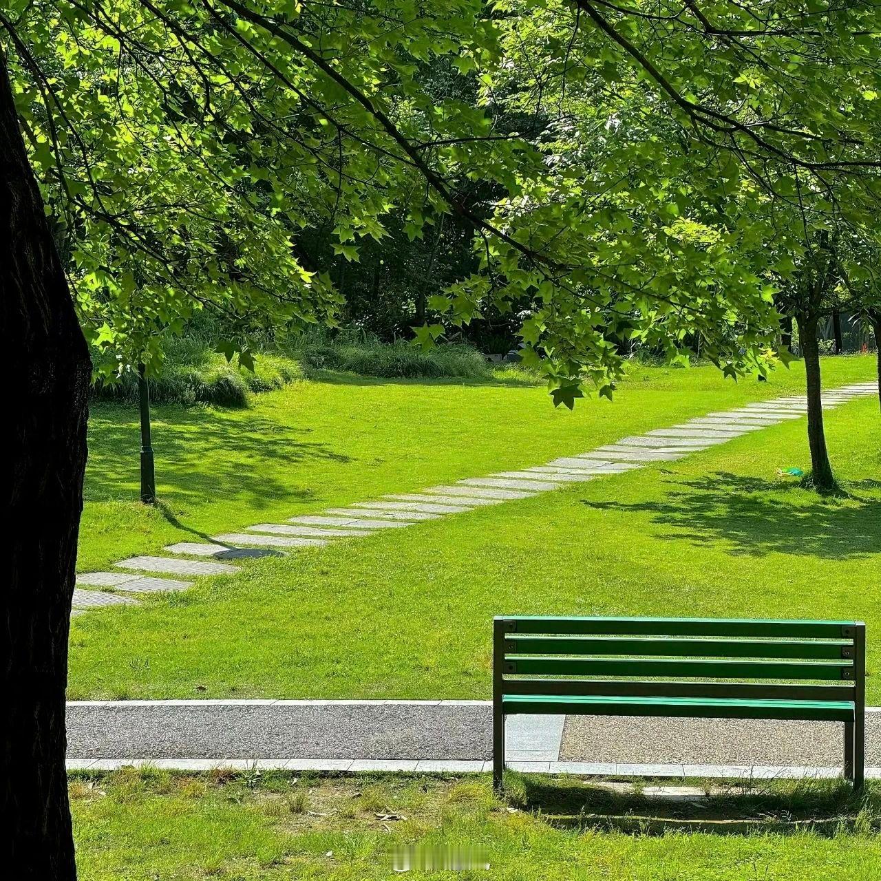 人生如一条蜿蜒的河流，时而平静，时而湍急。我们在这条河流中漂泊，有时顺流而下，有