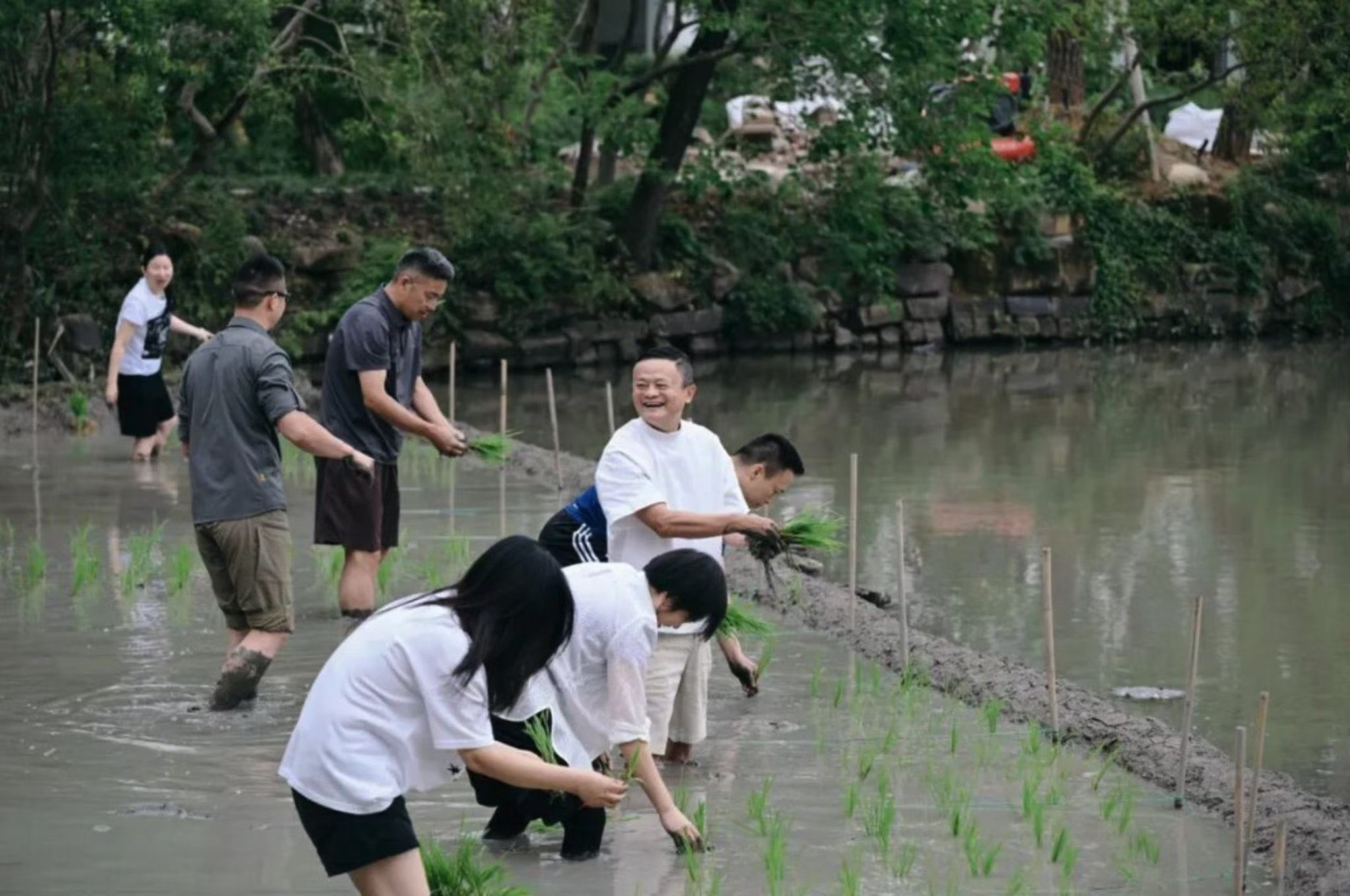 老马这是暗示什么？？