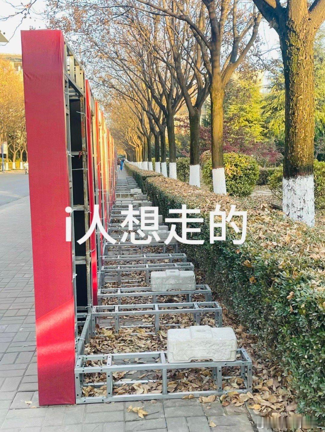 #i人想走的路和实际走的路#很写实，脑海里选1身体选了2 ​​​