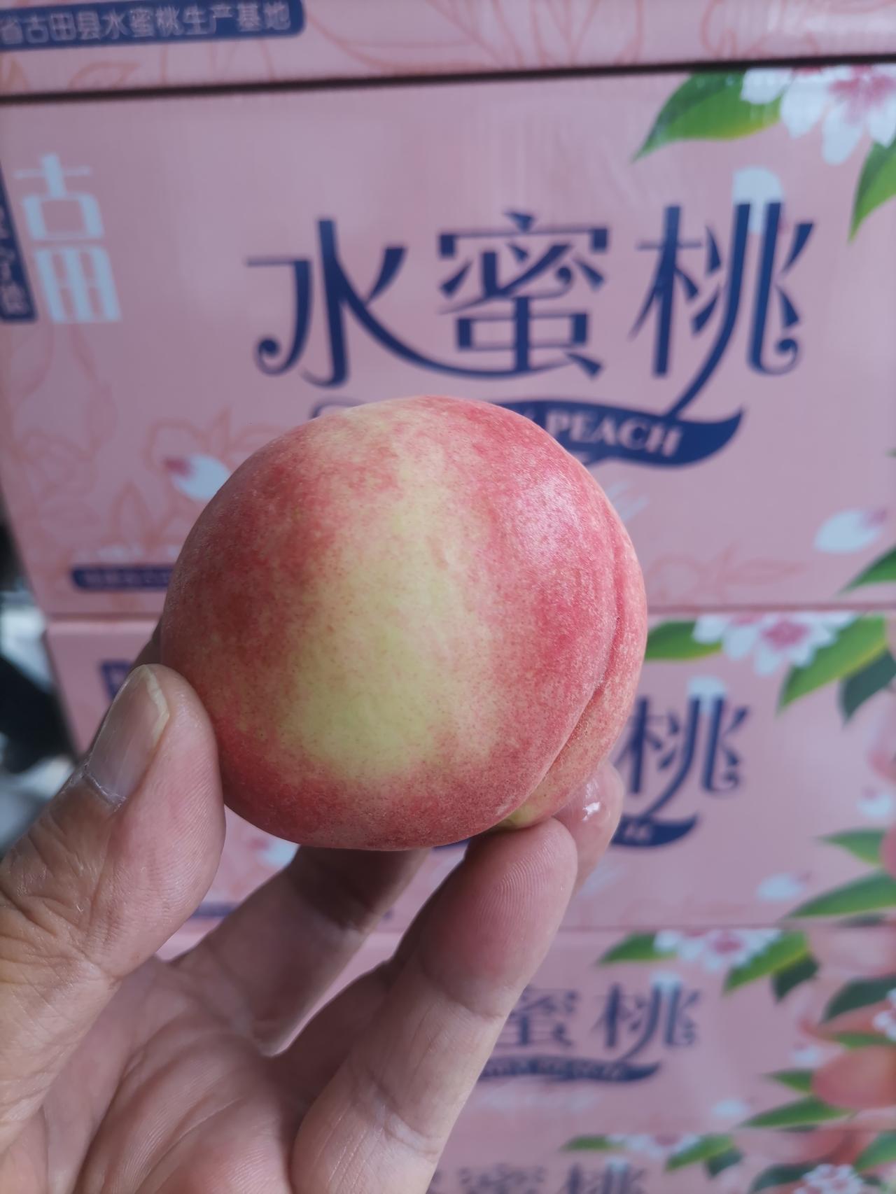 夏天到了，一定要尝尝正宗的古田水蜜桃！它生长在北纬26°的黄金地带，福建古田可是
