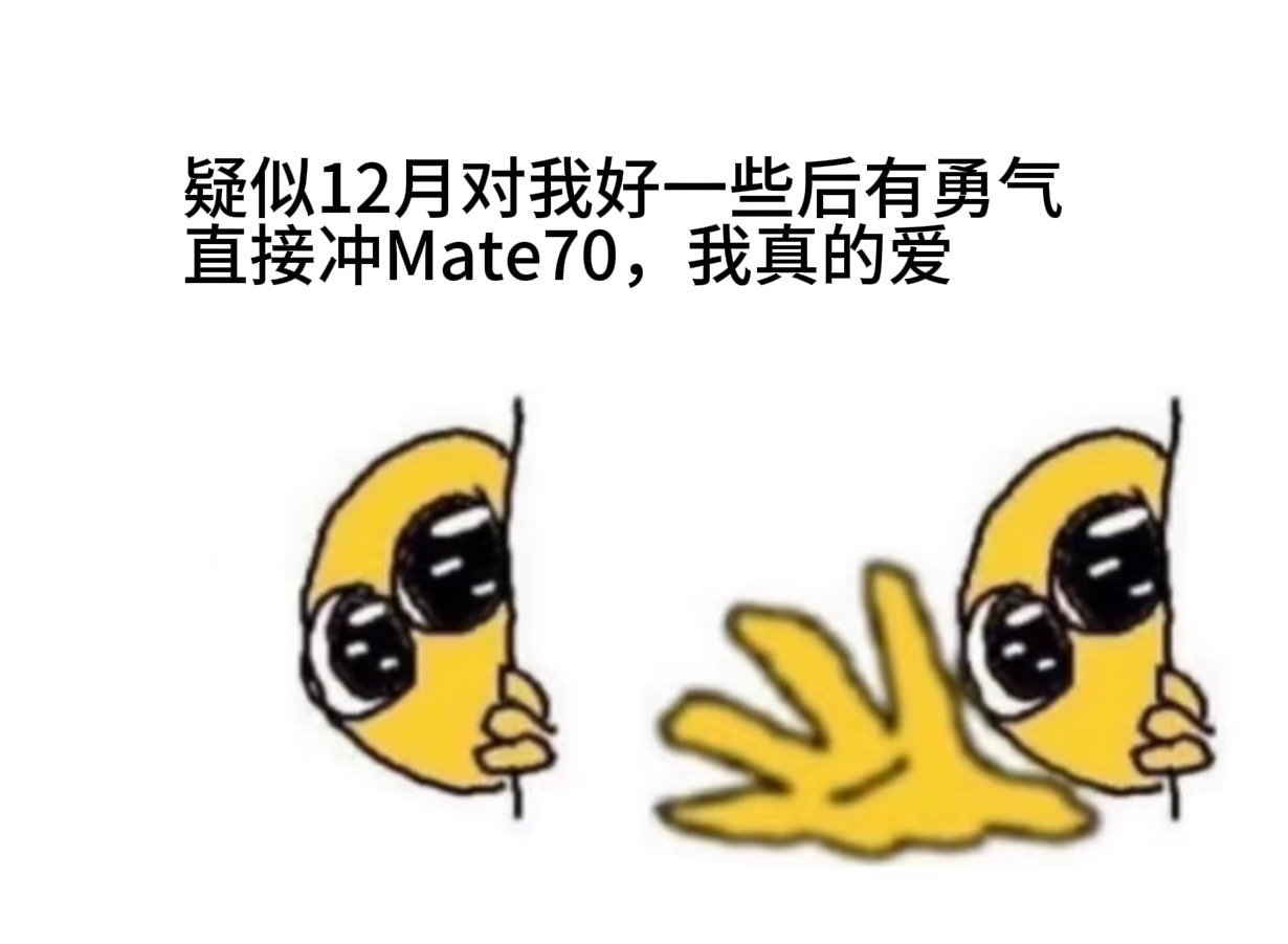 全国多地华为门店抢购Mate70 12月你终于开始对我好起来了，今年的最后一个月