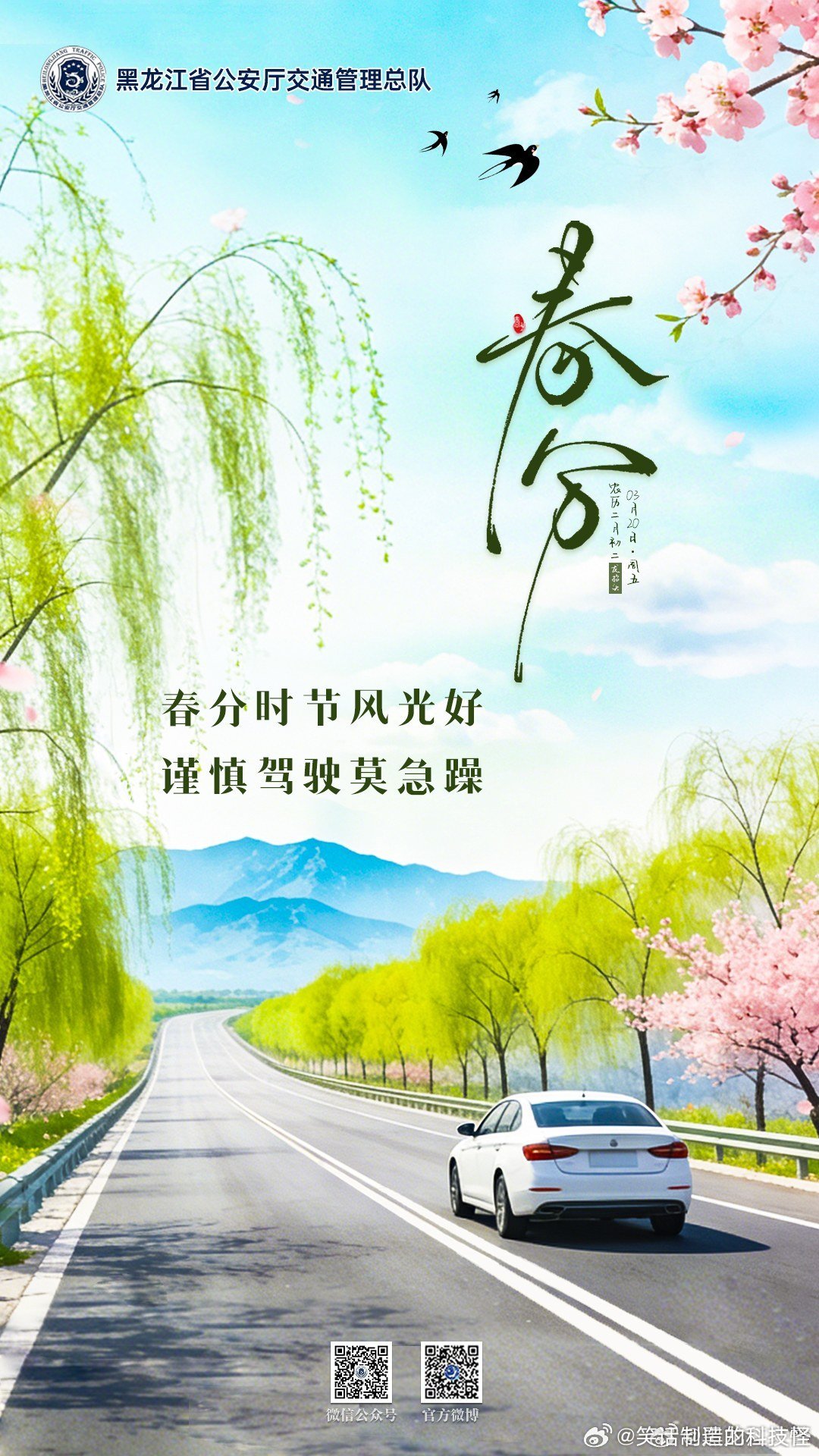 早安  春分时节风光好，谨慎驾驶莫急躁。今日春分 早安春分遇上龙抬头早安高小黑早