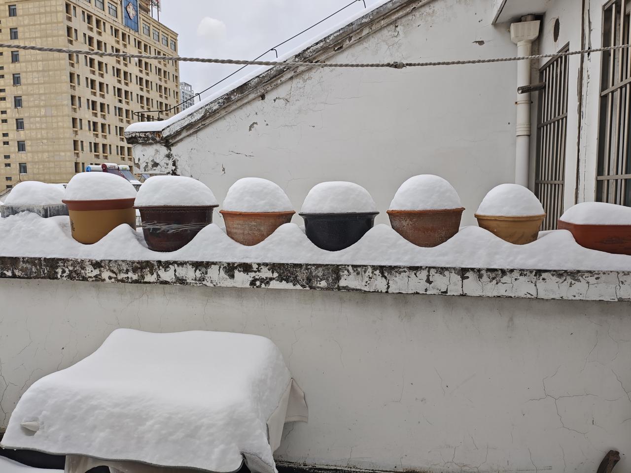 记录我的2026忙活了一整年的绿植没熬过冬天，挨个都阵亡了，本还有点小失落。结果