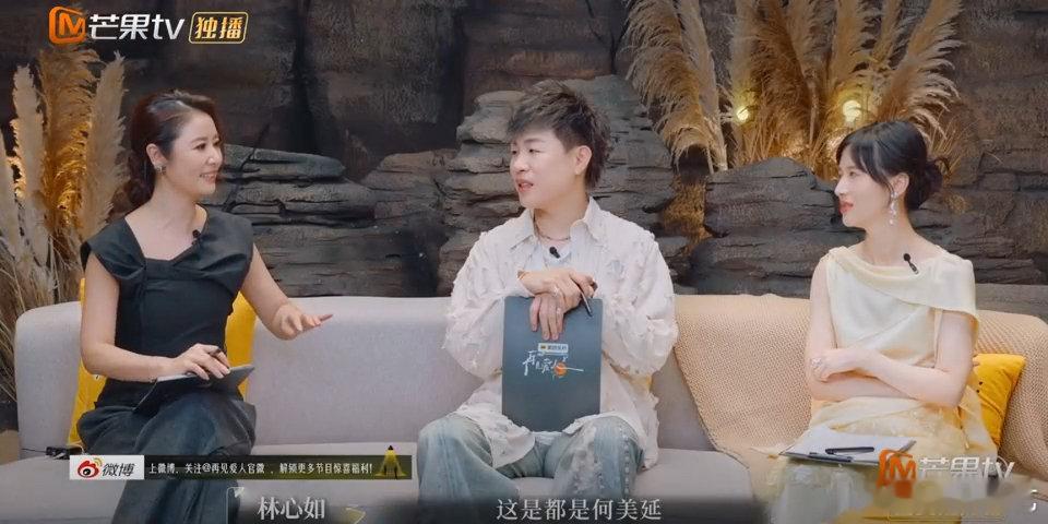 林心如 都是何美延去挑事儿的“何美延梁淞无数个你追我赶的故事，其实都是一个故事，
