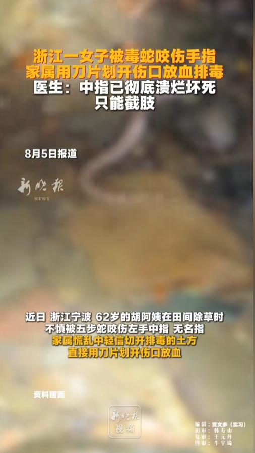 “土方法不能乱信！”8月5日报道，浙江，一女子在地里除草时，不慎被五步蛇咬伤了手
