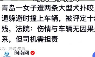 女子躲避狗咬撞车，司机赶恶犬反遭起诉，法院：有过错，赔偿4万多

一名58岁女子