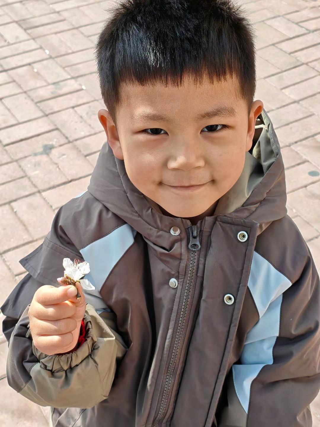 长春的树终于开花了