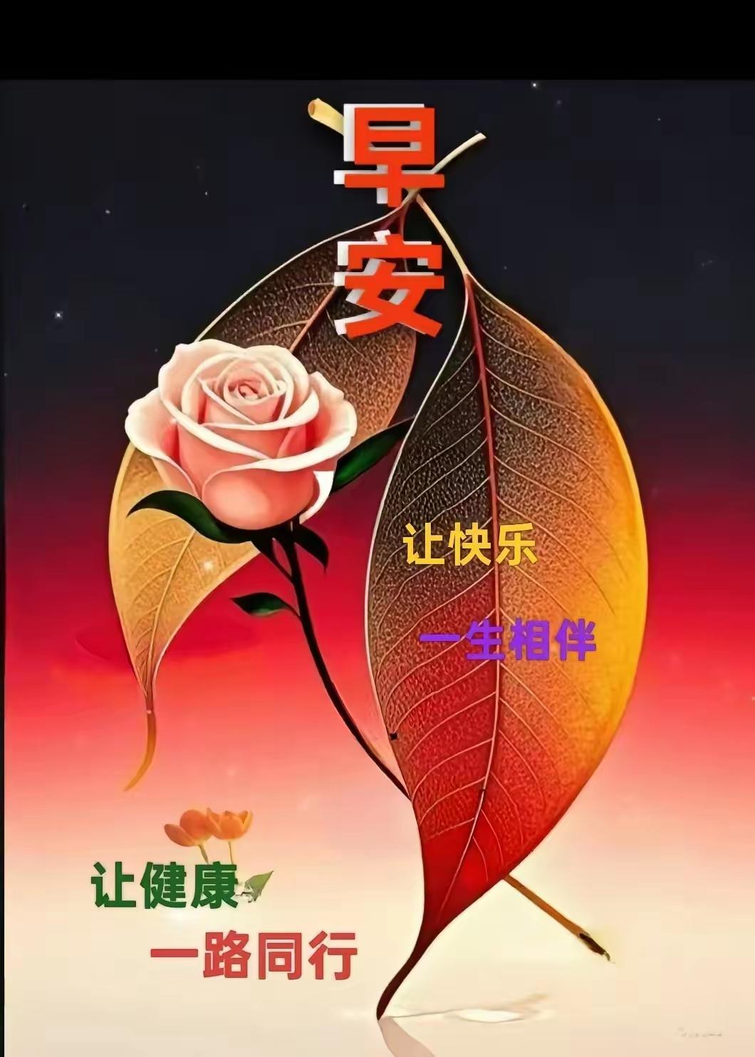 下联：
梧桐樟桂集森林

夏日生活打卡季