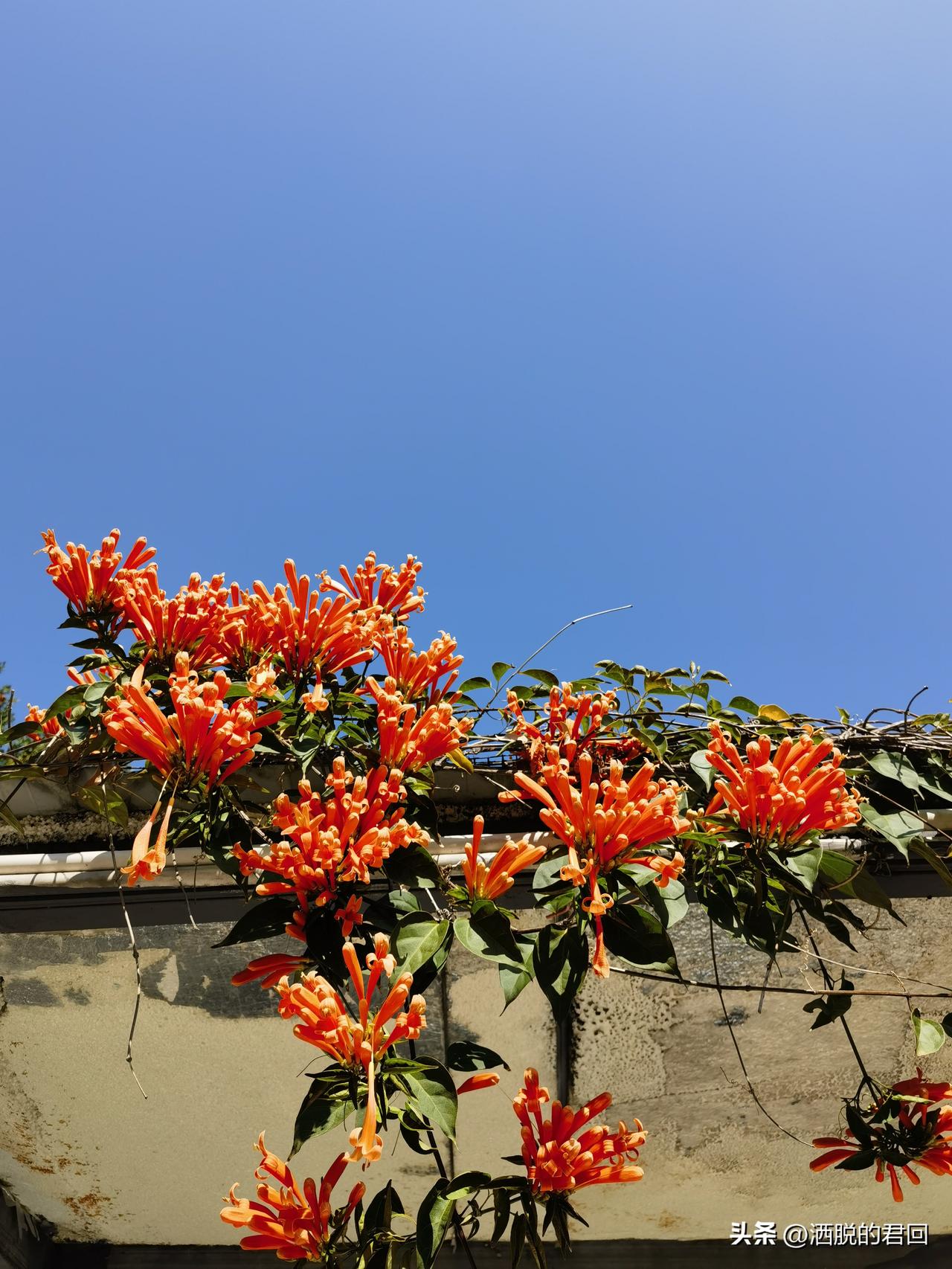 苦了有人倾诉，
烦了有人在乎；
累了有人照顾，
难了有人帮助。

少了一点盲目，