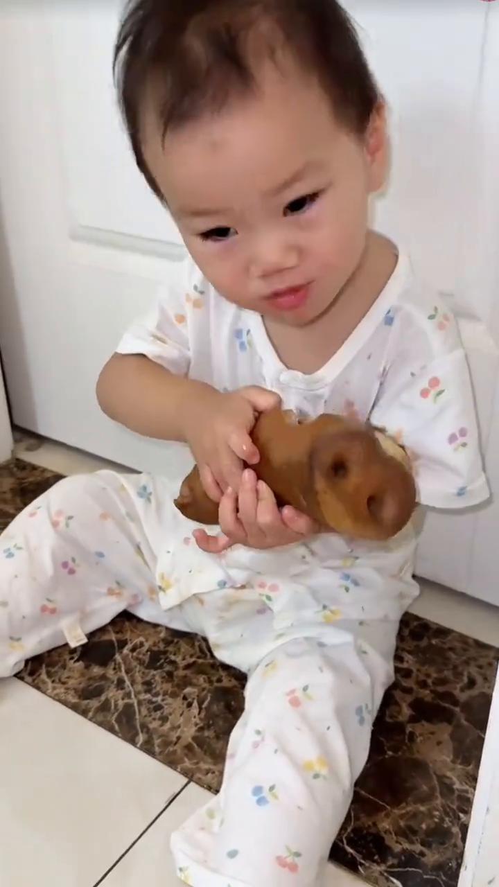 大胆！我的肉呢？我先吃为敬。
