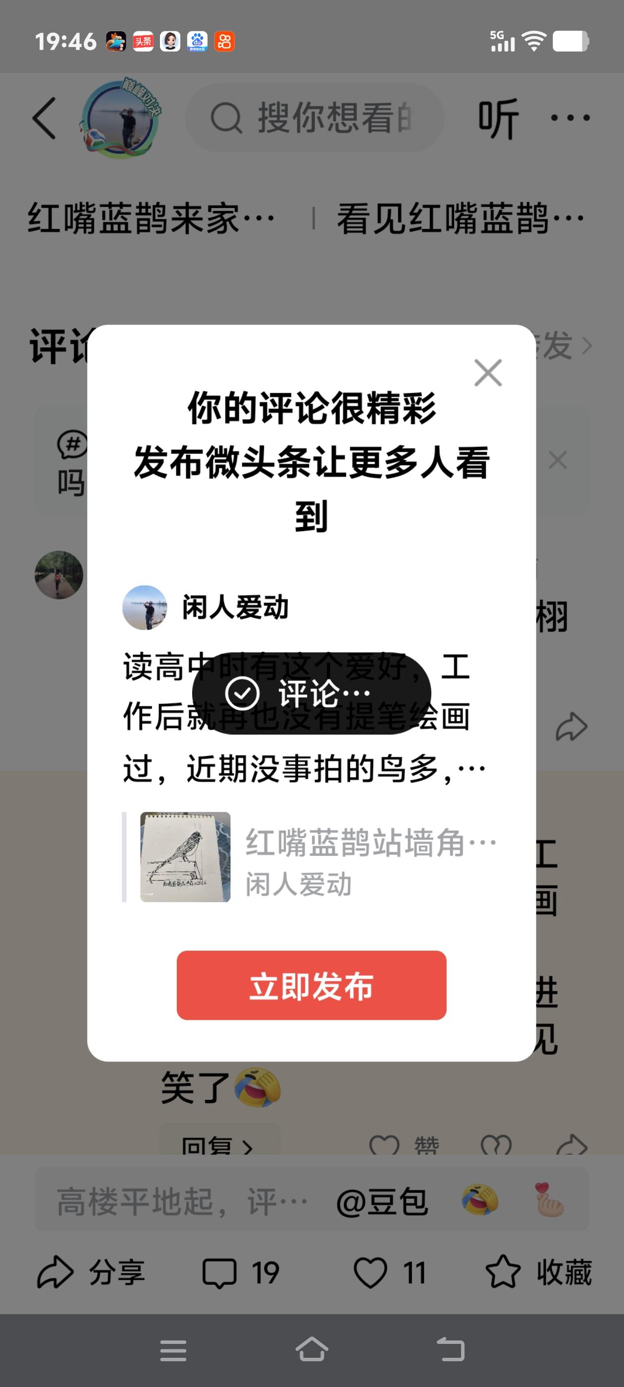 读高中时有这个爱好，工作后就再也没有提笔绘画过，近期没事拍的鸟多，于是便利用拍摄