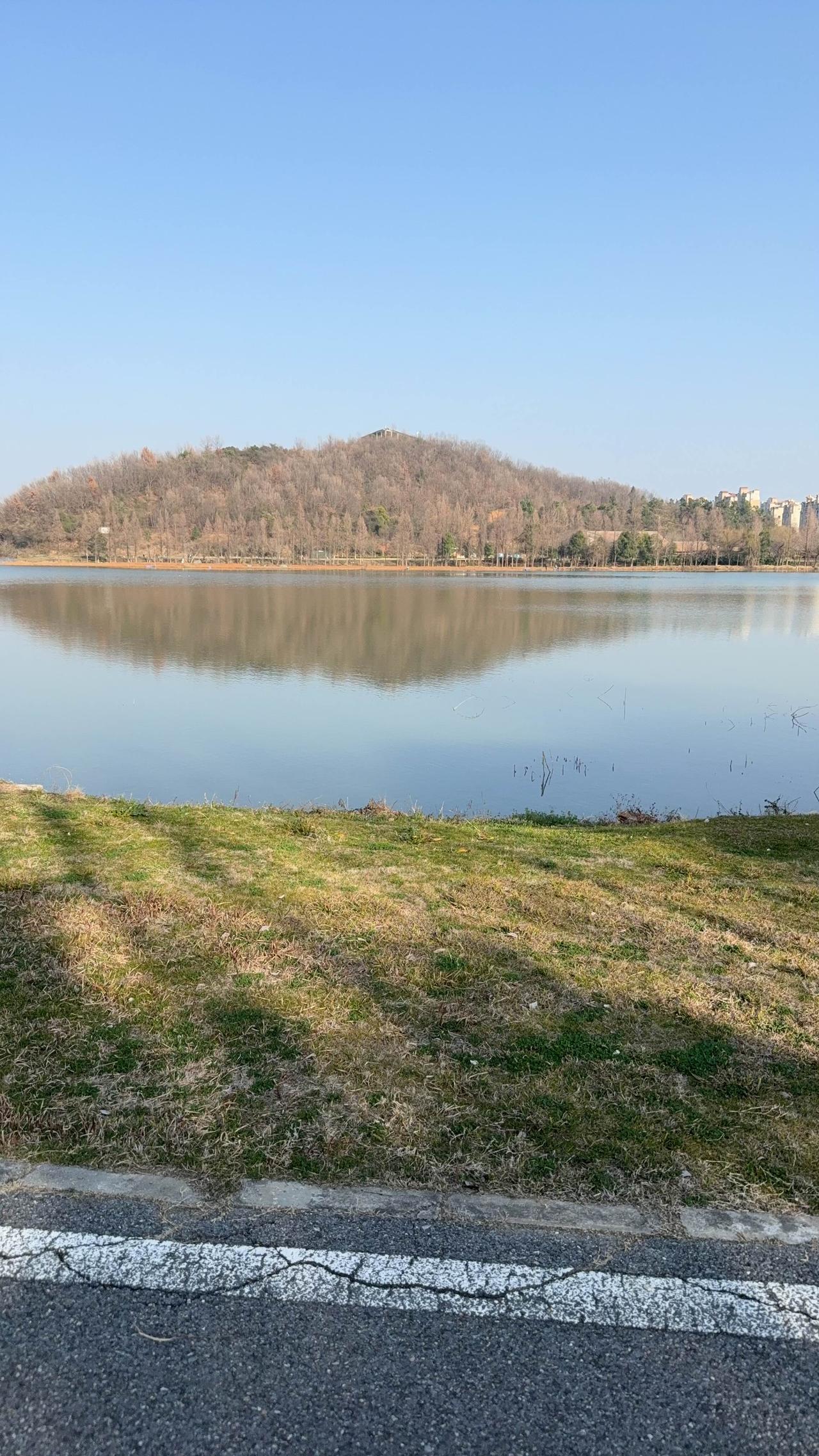 【今年央视的第一条文案，送自己和大家】

2026年已经启程，愿你在新的一年心中