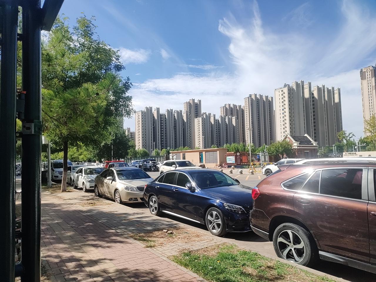 秋高气爽，风里终于没了盛夏黏人的热气，连吹到脸上的风都带着点桂花碎的甜香。