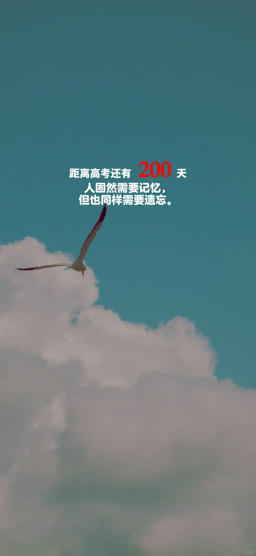 2025高考倒计时，每日更新。