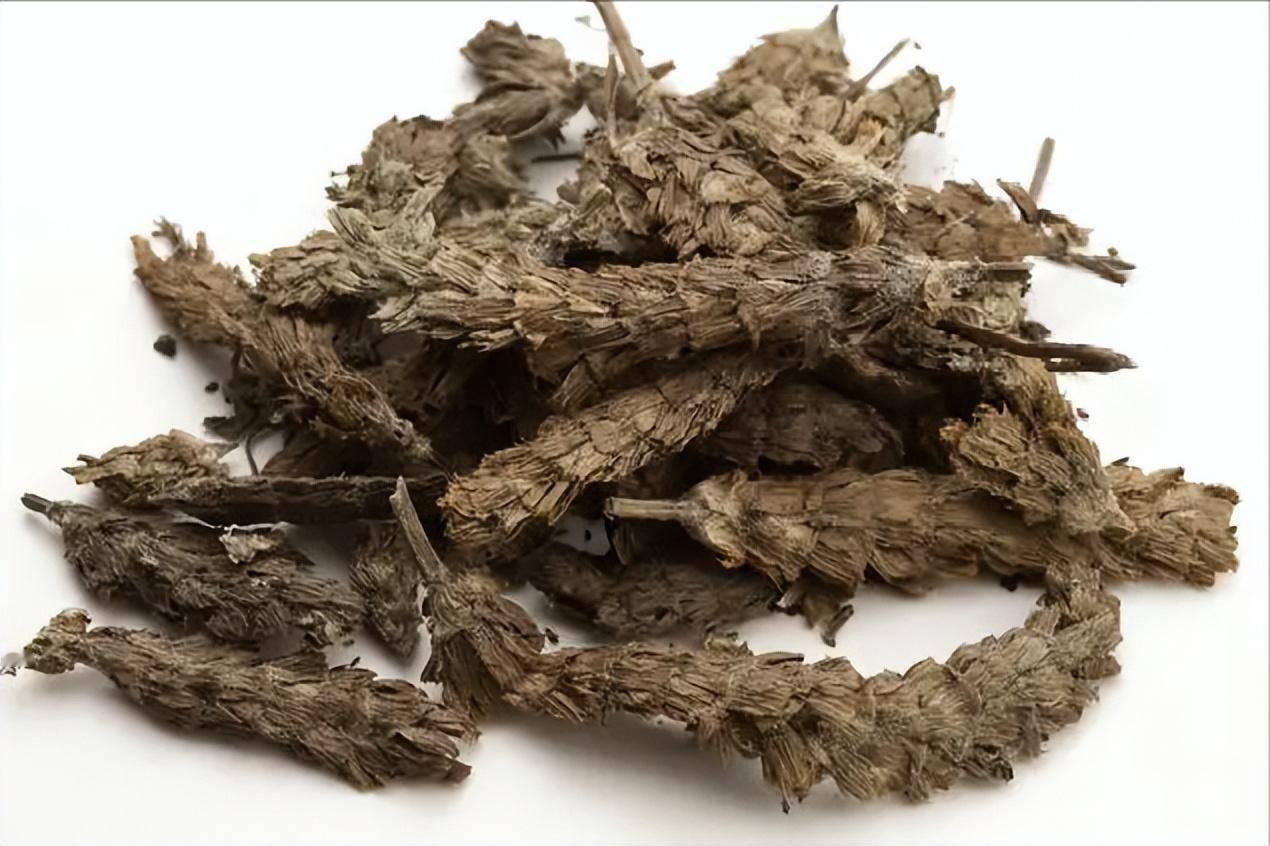 夏桑菊，夏天降火良药

那天有一个粉丝来问我，说自己头晕，还有点偏痛，是怎么回事