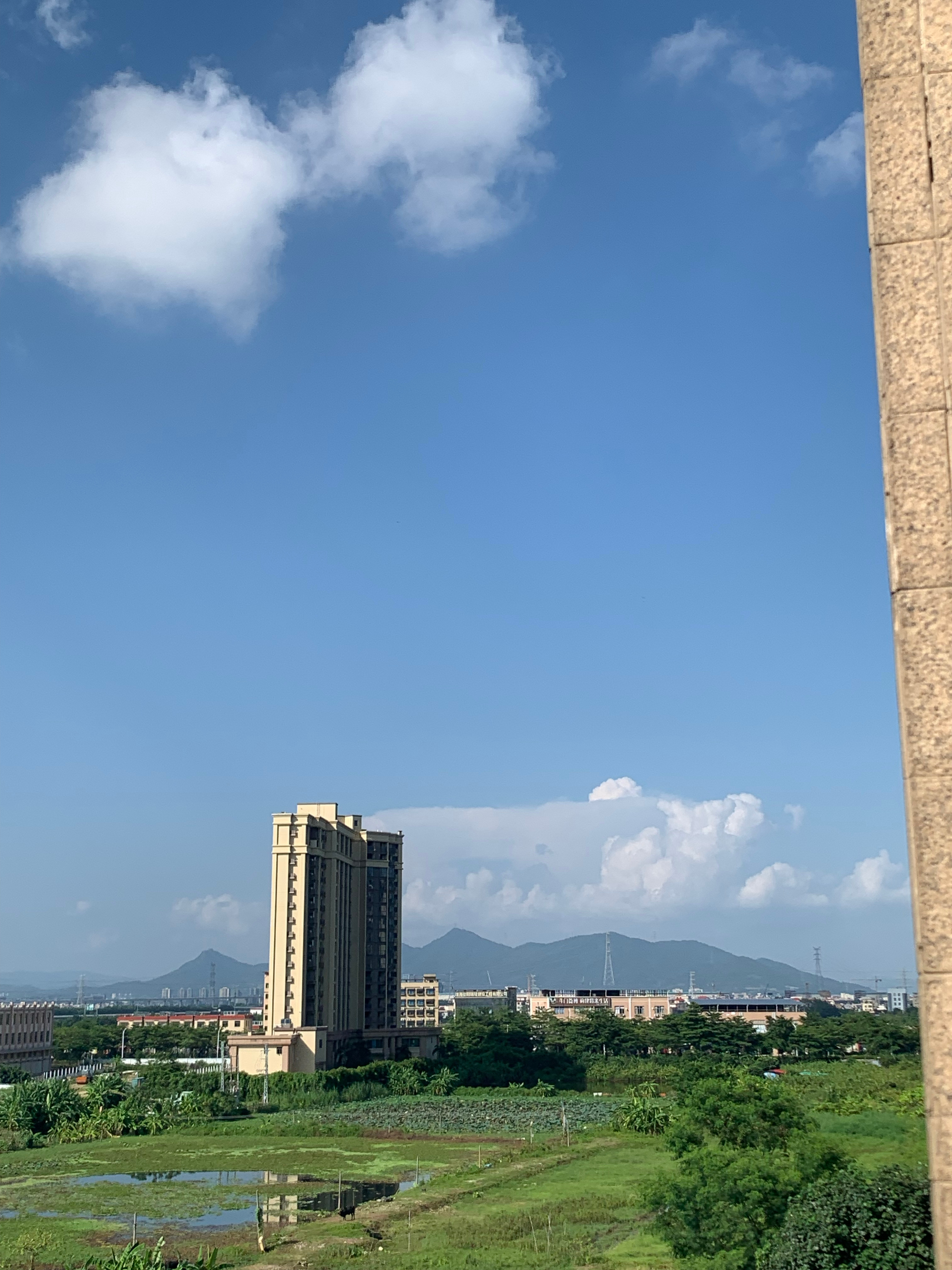 “你有多久没有看到过蓝天，喜欢的人总出现在梦里面”生活碎片