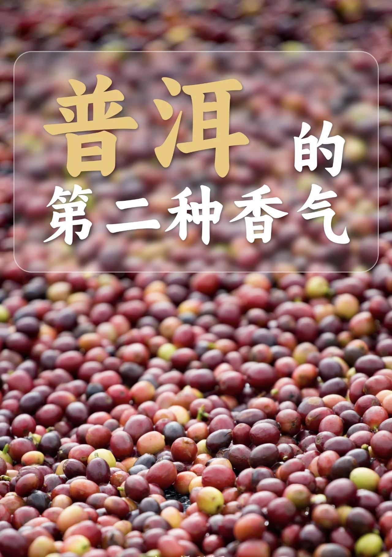 中国人自己的咖啡