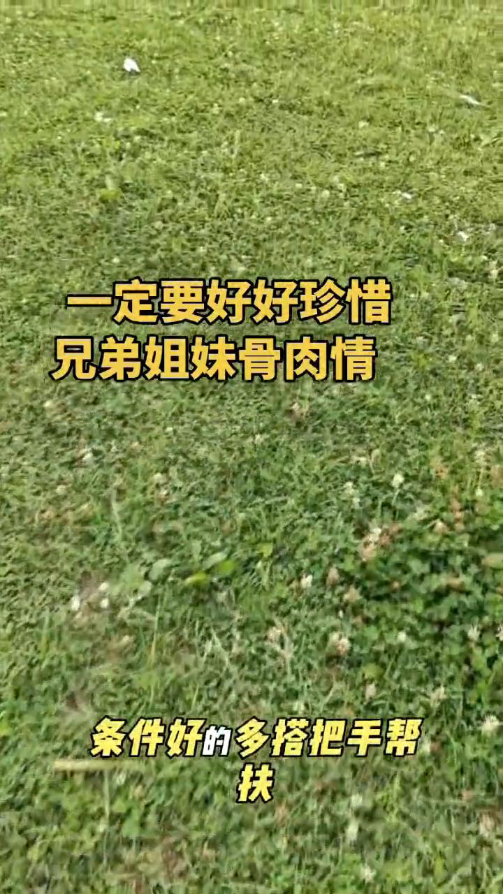 一定要好好珍惜兄弟姐妹骨肉情。
兄弟姐妹才是这辈子最亲的后盾，无论到什么时候，你
