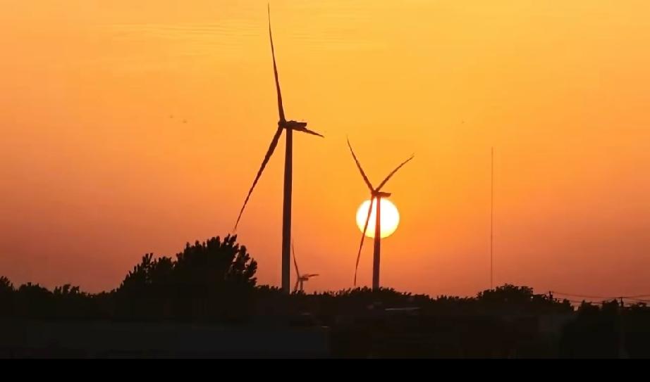 2026年5月11日拍摄于砖庙镇荣庄新村