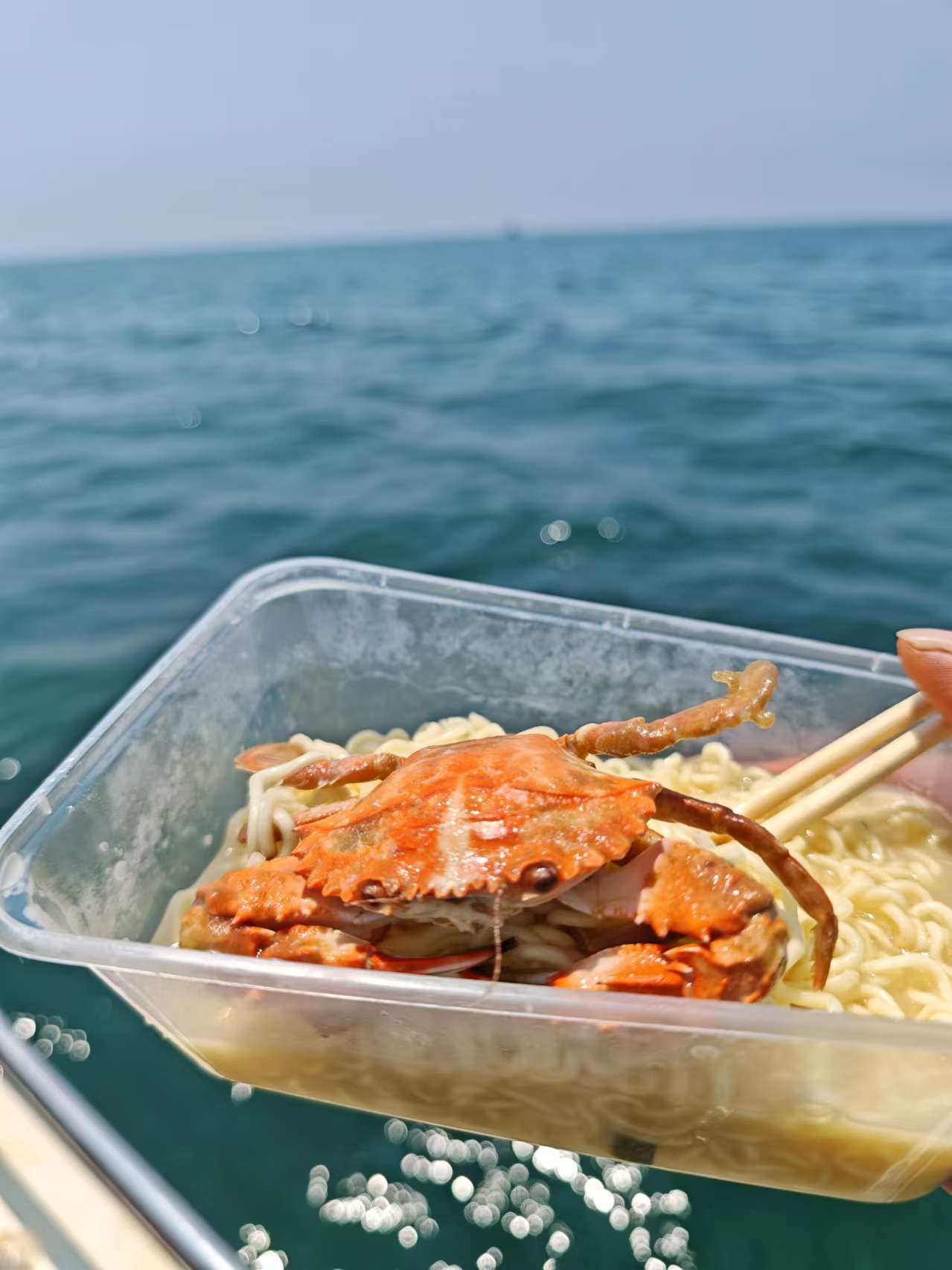 住在海边，也没啥蔬菜……凑合吃吧 ​​​