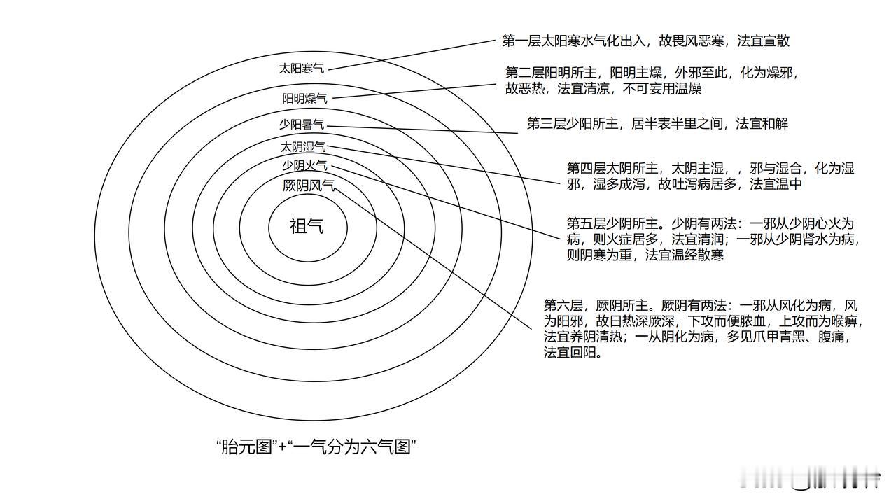 现代文献sci讲究看图，机制需要图来进行说明，一幅好的机制图可以说明作者思路的清