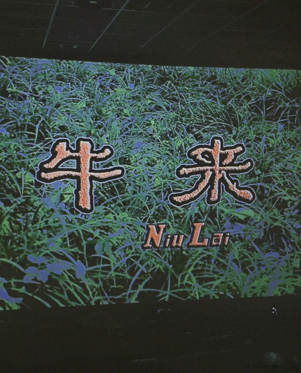 电影牛来声明看了一下，《牛来》在我们这里今天还是正常在卖票，明后两天也还是在正常