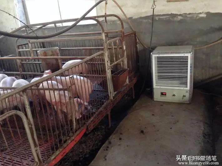 欧洲人都快气疯了，44度高温难耐，中国网民晒出自己猪圈都有空调！

近日44度高