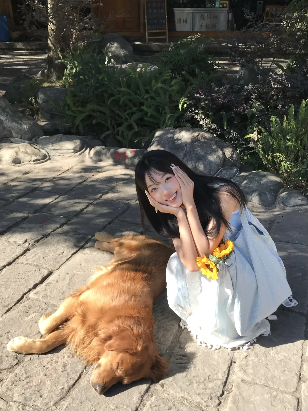 小狗૮ฅ'ᴥ'ฅა🐾