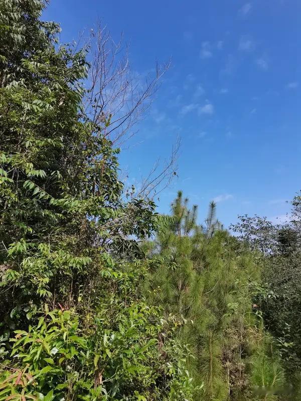 学习笔记：为人处事，不要把事做绝，有句俗语：“做人留一线，日后好相见”。
做事留