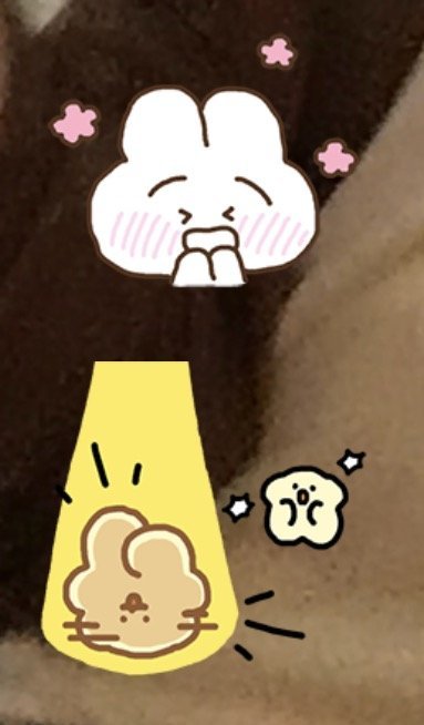 260704 🐷💭🐷：ㅇㅇ今天也有好好度过一天吗~?🐷：问我干什么了现在