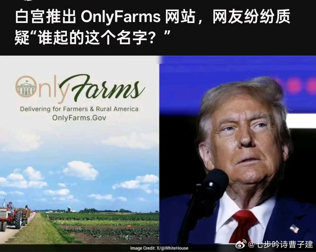 川普的OnlyFans是吧