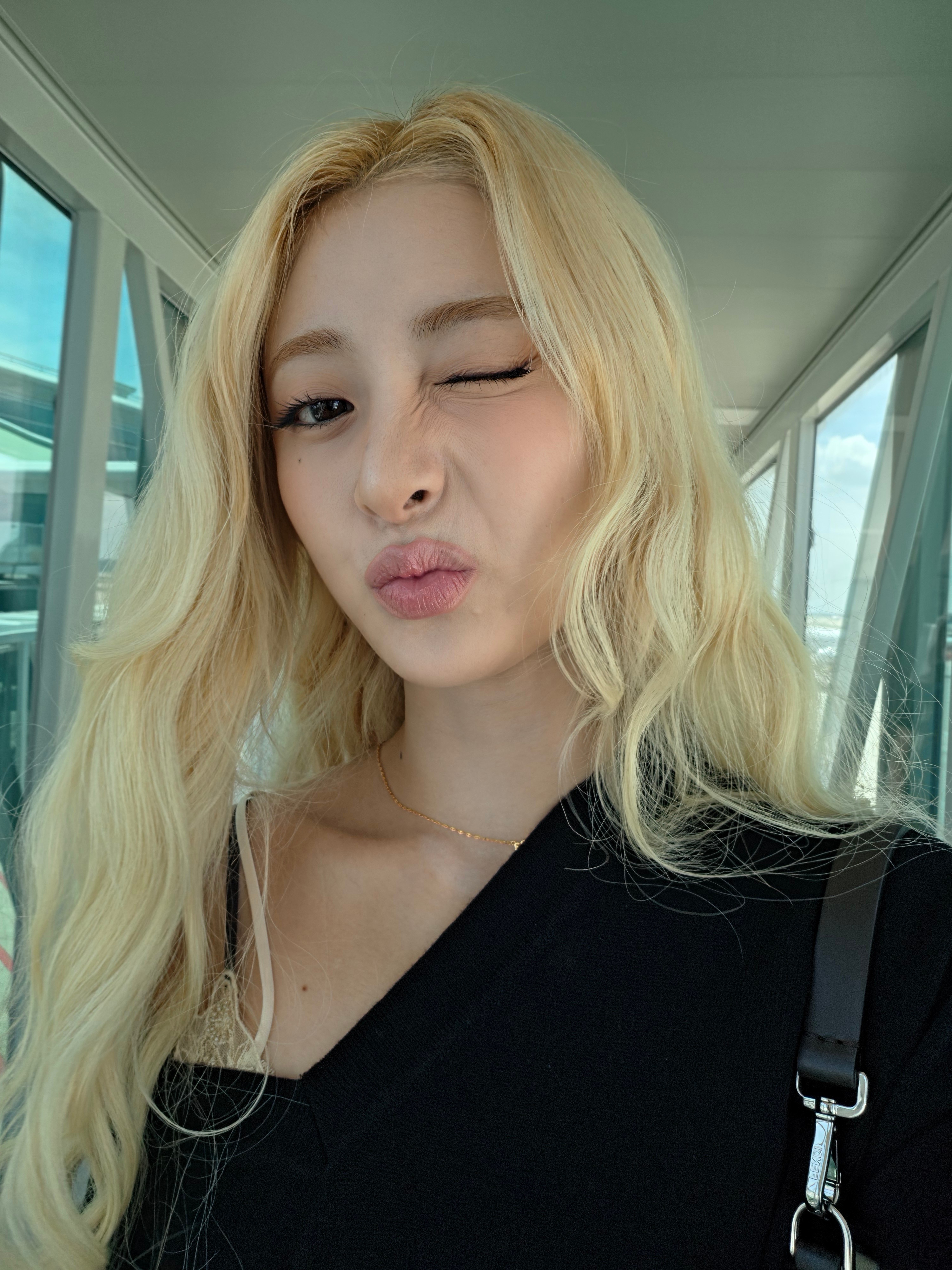 🐕wvsLA에서 돌아왔슴다!!!! 🌴🌞🤍털이 고고고고 